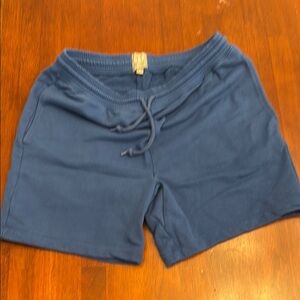 GAP Blue Casual Shorts